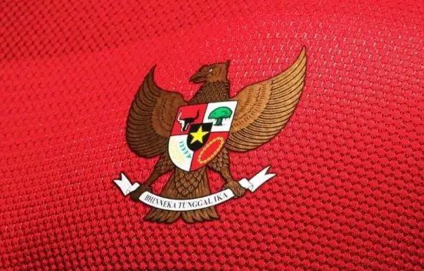 Tim Nasional Indonesia