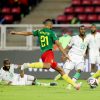 Jadwal Pertandingan Babak Perempat Final Piala Afrika: Mencari 4 Semifinalis Terbaik